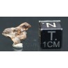 Meteorito Imilac