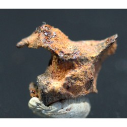 Meteorito Imilac