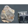 Meteorito Vaca Muerta mesosiderito  -
