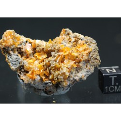 Wulfenita