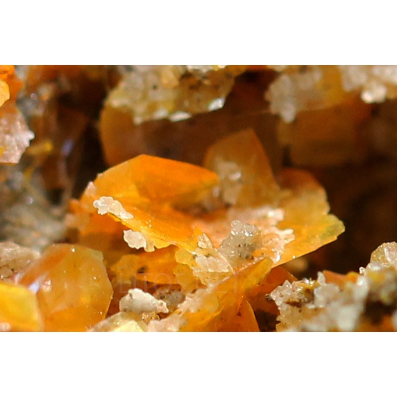 Wulfenita