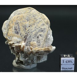Mica moscovita