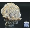 Mica moscovita