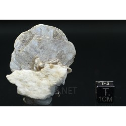 Mica moscovita