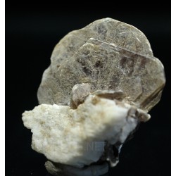 Mica moscovita