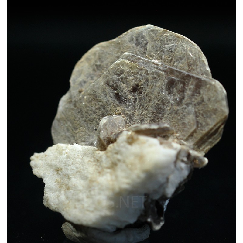 Mica moscovita