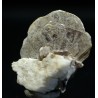 Mica moscovita