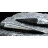 Orthoceras michelinoceras s.p. fosil