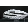 Orthoceras michelinoceras s.p. fosil