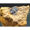 Hematites (Especularita)