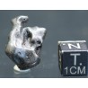Meteorito Sikhote Alin Rusia