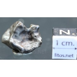 Meteorito Sikhote Alin Rusia