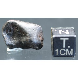 Meteorito Sikhote Alin Rusia