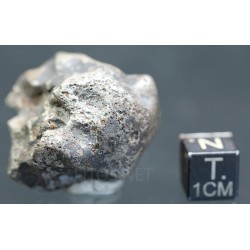 Meteorito Sikhote Alin Rusia