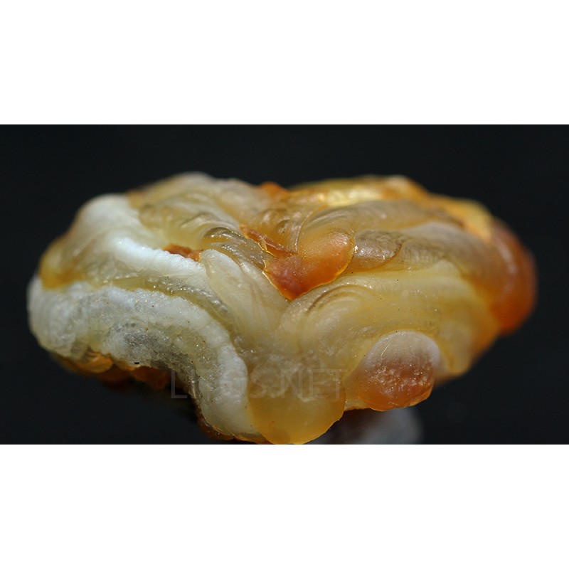 Ágata lemuriana Ágata lemuriana