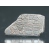 Meteorito Aletai
