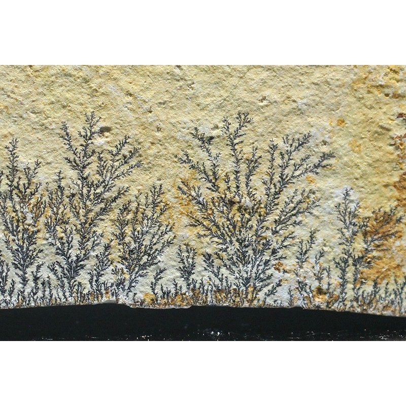 Pisolusita dendrítica Pisolusita dendrítica