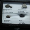 Colección de meteoritos y tectita
