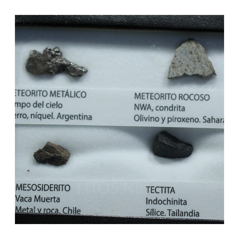 Colección de meteoritos y tectita