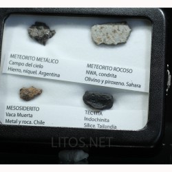 Colección de meteoritos y tectita