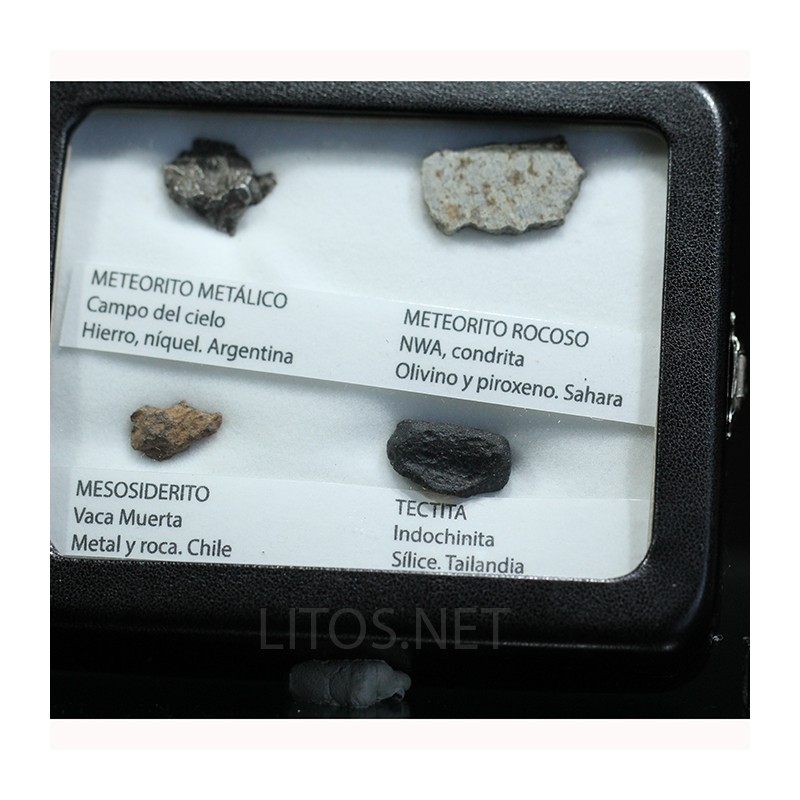 Colección de meteoritos y tectita