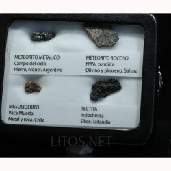 Colección de meteoritos y tectita