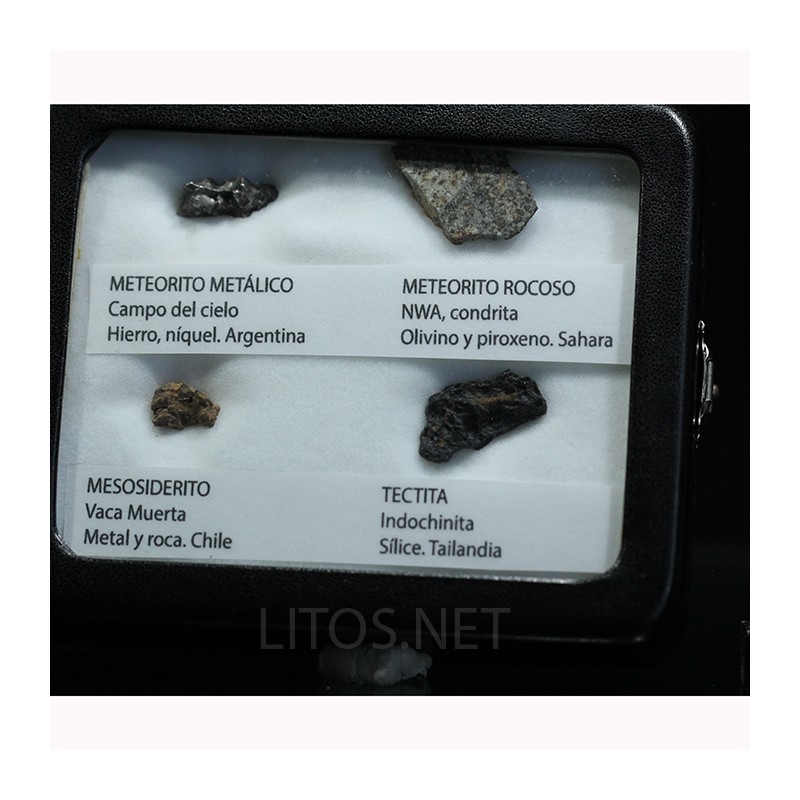 Colección de meteoritos y tectita