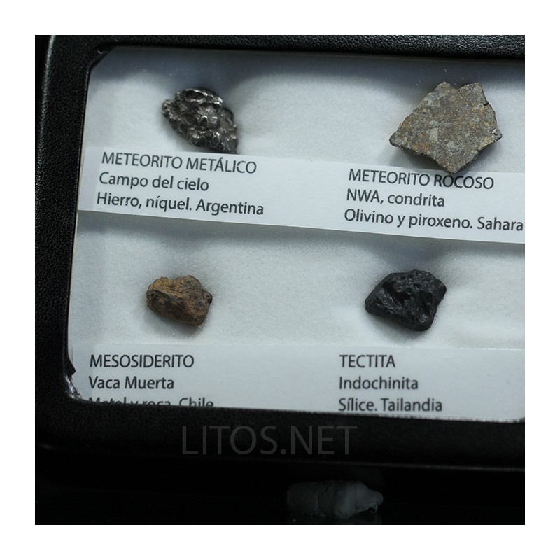 Colección de meteoritos y tectita