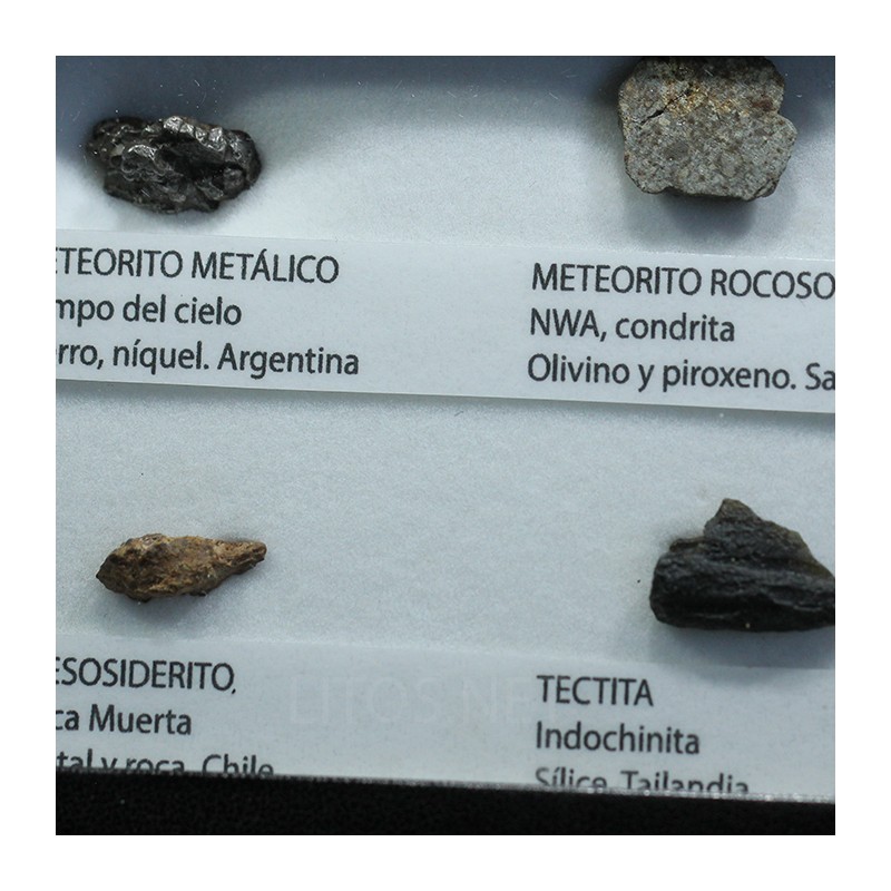 Colección de meteoritos y tectita