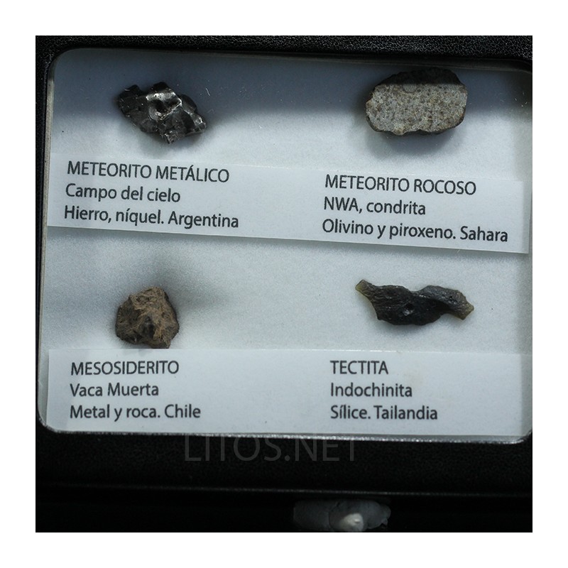 Colección de meteoritos y tectita