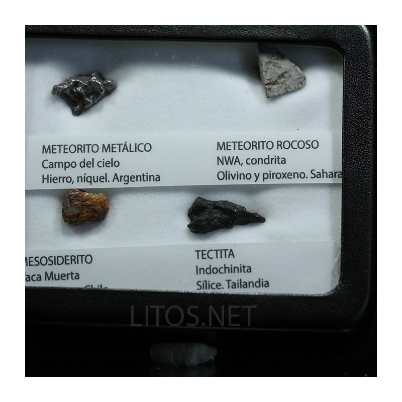 Colección de meteoritos y tectita