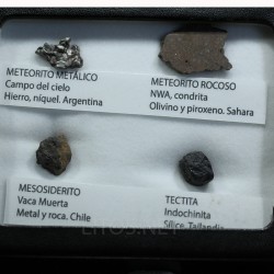 Colección de meteoritos y tectita