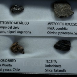 Colección de meteoritos y tectita
