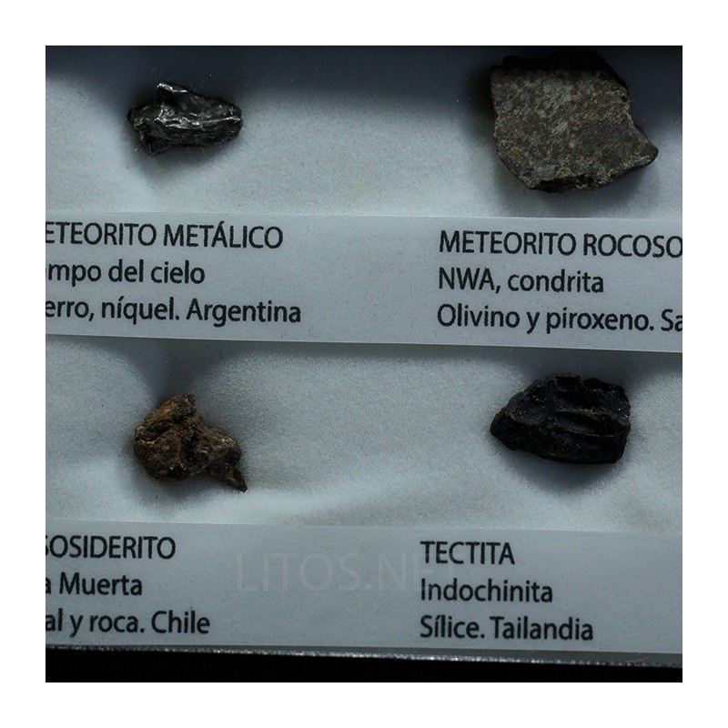Colección de meteoritos y tectita