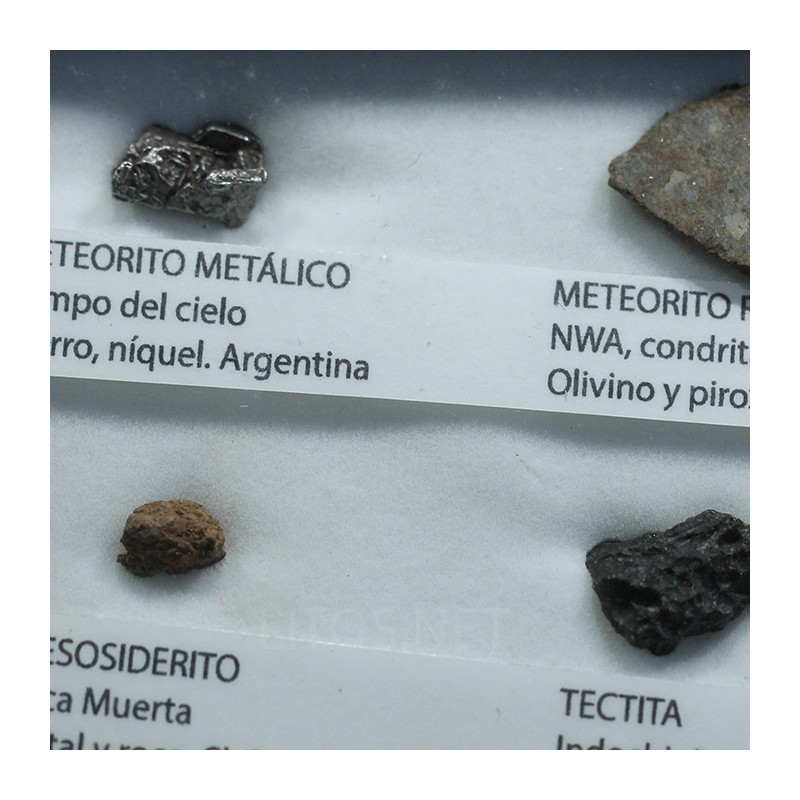 Colección de meteoritos y tectita