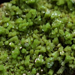 Piromorfita Asturias