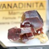 Vanadinita