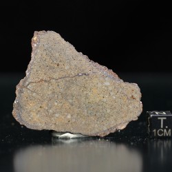 Meteorito NWA