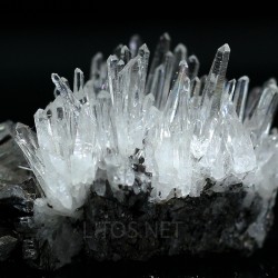 Cuarzo+ arsenopirita