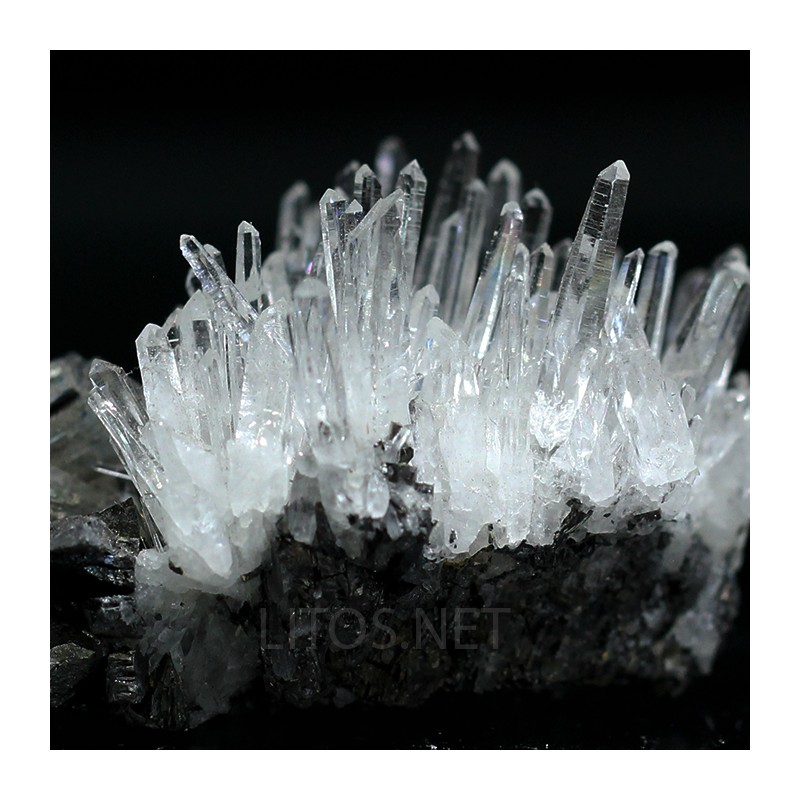 Cuarzo+ arsenopirita