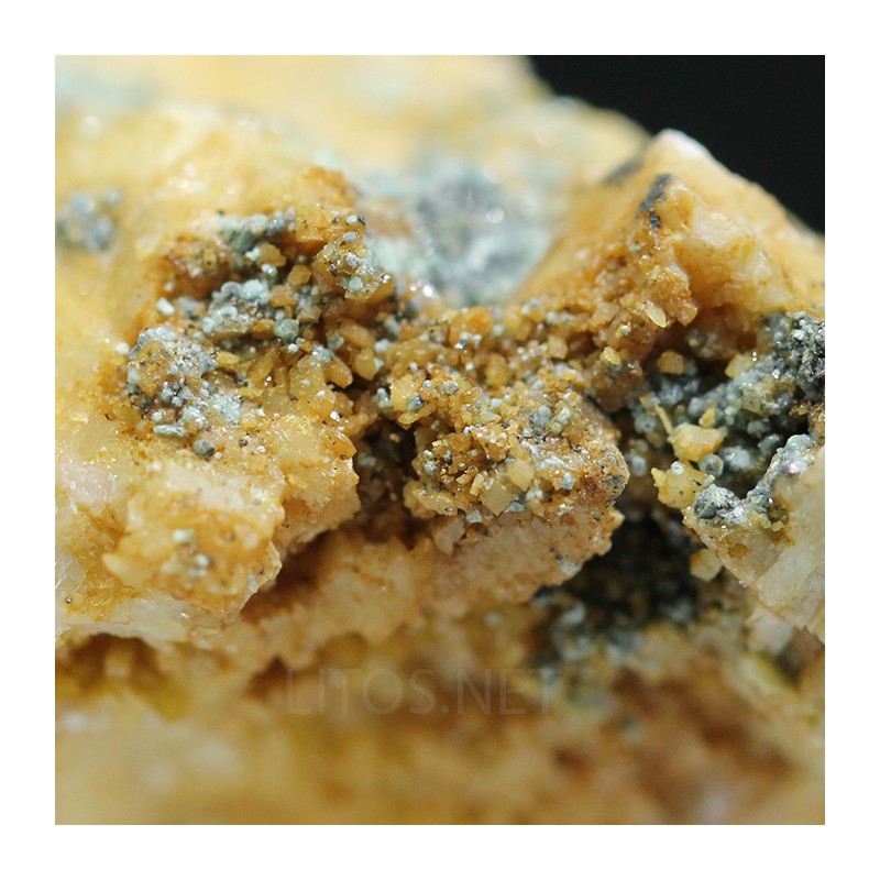 Bottinoita + Polidimita