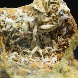 Bottinoita + Polidimita