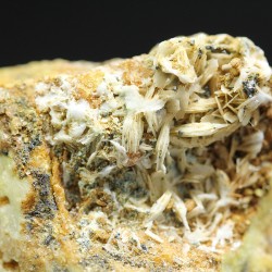 Bottinoita + Polidimita