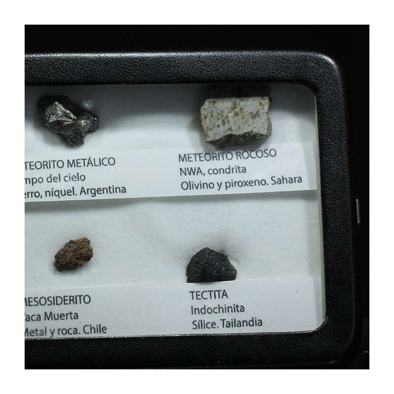 Colección de meteoritos y tectita