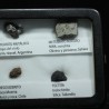 Colección de meteoritos y tectita