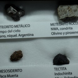 Colección de meteoritos y tectita