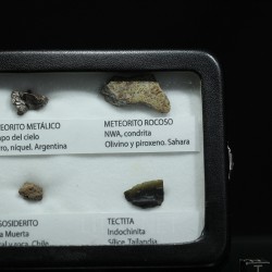Colección de meteoritos y tectita