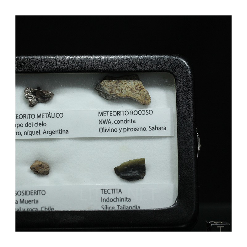 Colección de meteoritos y tectita