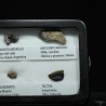 Colección de meteoritos y tectita