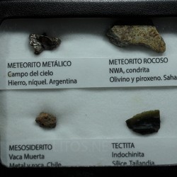 Colección de meteoritos y tectita